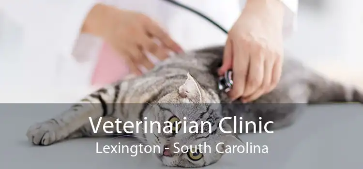 Veterinarian Clinic Lexington - South Carolina