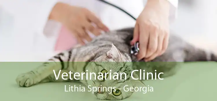 Veterinarian Clinic Lithia Springs - Georgia