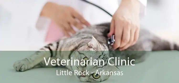 Veterinarian Clinic Little Rock - Arkansas