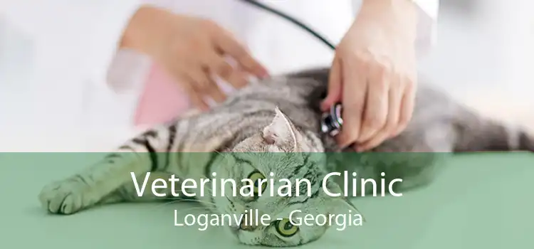 Veterinarian Clinic Loganville - Georgia