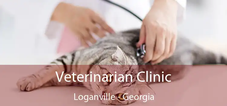 Veterinarian Clinic Loganville - Georgia