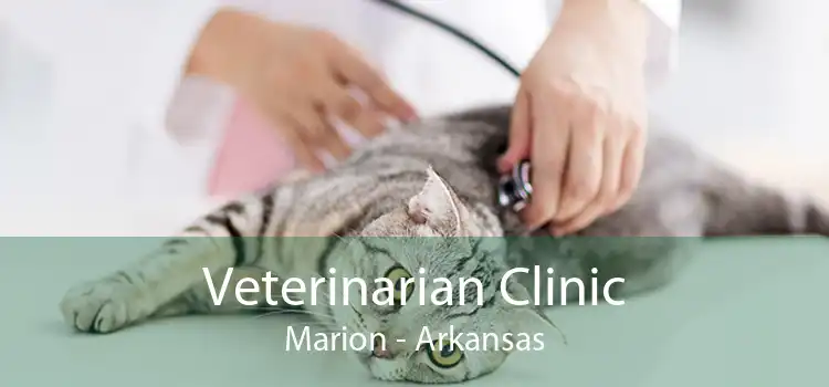 Veterinarian Clinic Marion - Arkansas