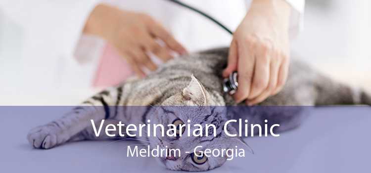 Veterinarian Clinic Meldrim - Georgia