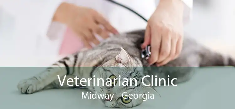 Veterinarian Clinic Midway - Georgia