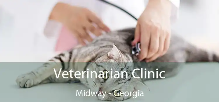 Veterinarian Clinic Midway - Georgia