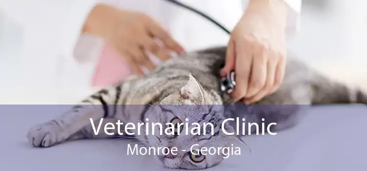 Veterinarian Clinic Monroe - Georgia