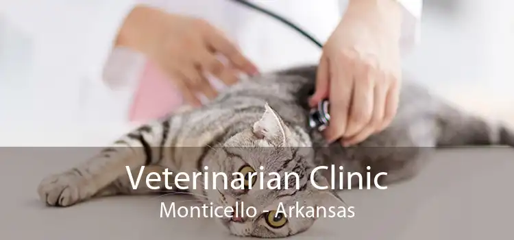 Veterinarian Clinic Monticello - Arkansas