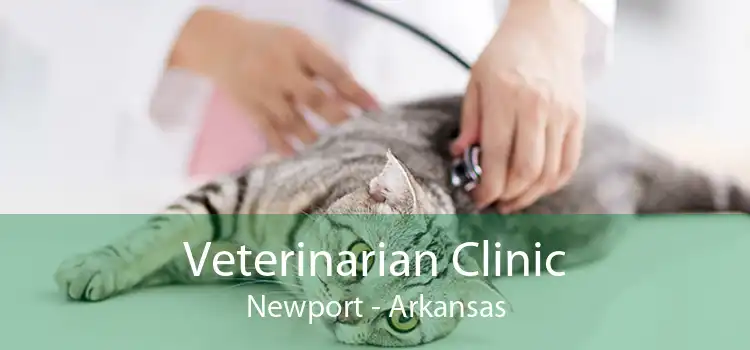 Veterinarian Clinic Newport - Arkansas