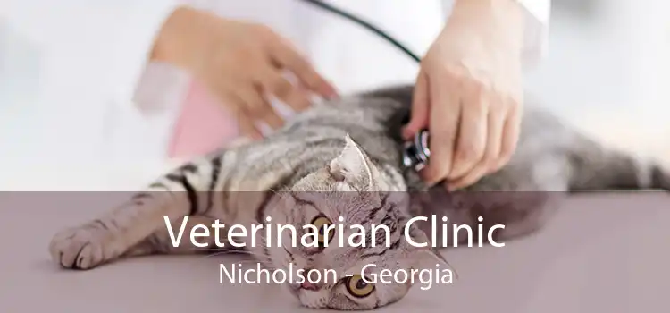 Veterinarian Clinic Nicholson - Georgia