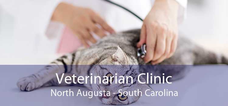 Veterinarian Clinic North Augusta - South Carolina