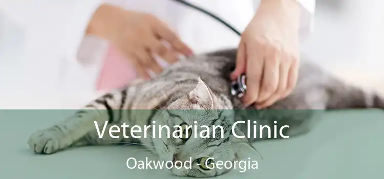 Veterinarian Clinic Oakwood - Georgia