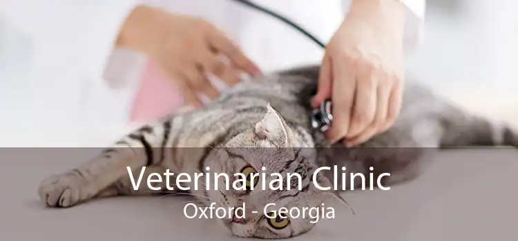 Veterinarian Clinic Oxford - Georgia