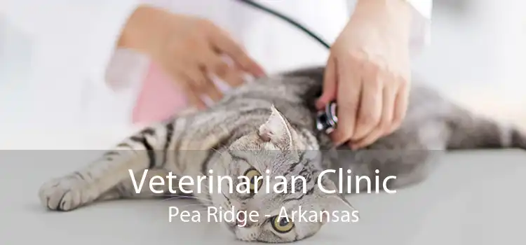 Veterinarian Clinic Pea Ridge - Arkansas