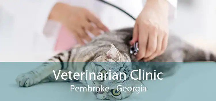 Veterinarian Clinic Pembroke - Georgia