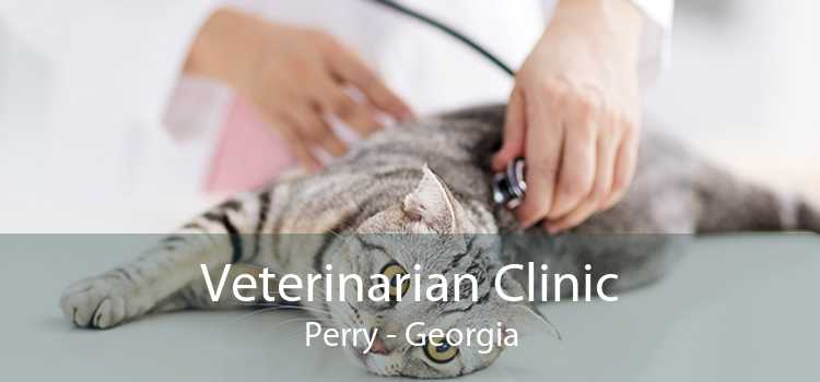 Veterinarian Clinic Perry - Georgia