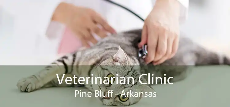 Veterinarian Clinic Pine Bluff - Arkansas