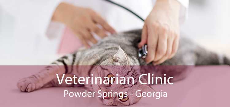 Veterinarian Clinic Powder Springs - Georgia