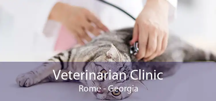 Veterinarian Clinic Rome - Georgia