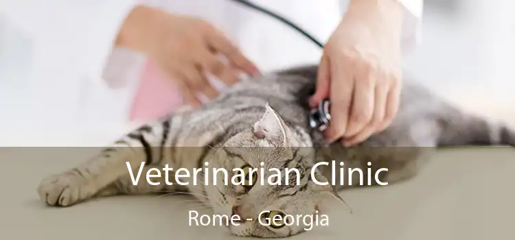 Veterinarian Clinic Rome - Georgia