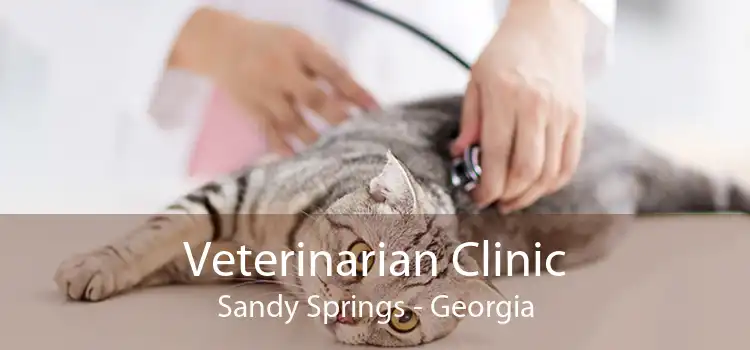 Veterinarian Clinic Sandy Springs - Georgia