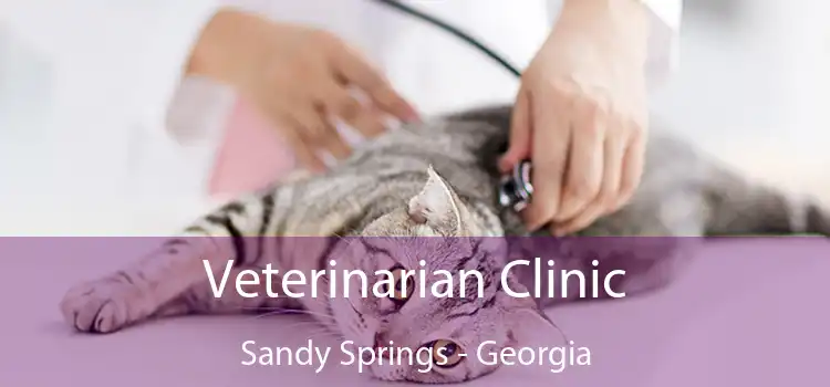 Veterinarian Clinic Sandy Springs - Georgia