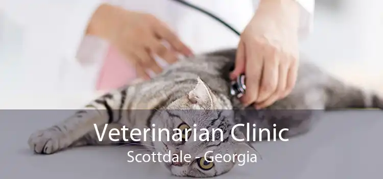 Veterinarian Clinic Scottdale - Georgia