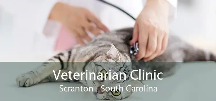 Veterinarian Clinic Scranton - South Carolina