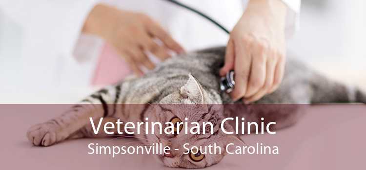 Veterinarian Clinic Simpsonville - South Carolina