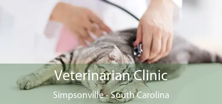 Veterinarian Clinic Simpsonville - South Carolina