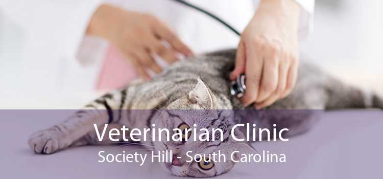 Veterinarian Clinic Society Hill - South Carolina