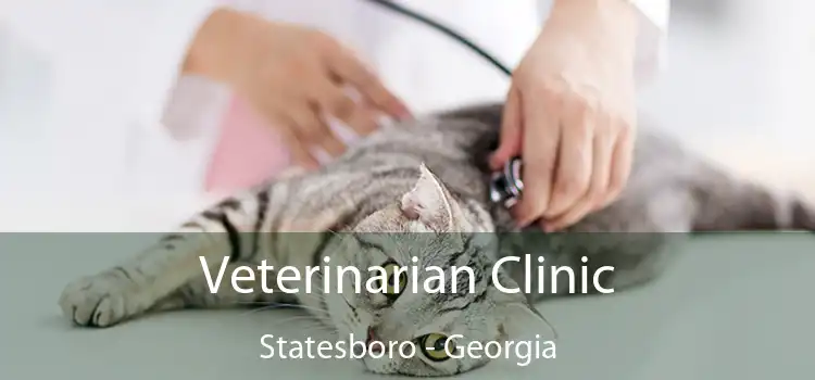 Veterinarian Clinic Statesboro - Georgia