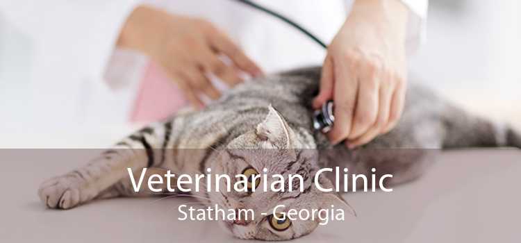 Veterinarian Clinic Statham - Georgia