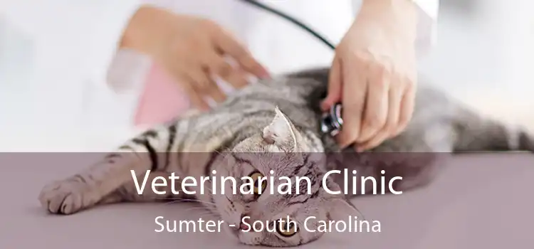 Veterinarian Clinic Sumter - South Carolina