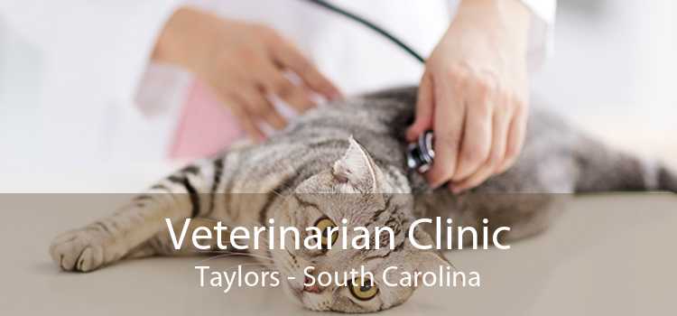 Veterinarian Clinic Taylors - South Carolina