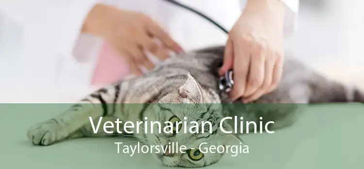 Veterinarian Clinic Taylorsville - Georgia