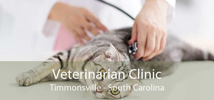 Veterinarian Clinic Timmonsville - South Carolina