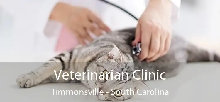 Veterinarian Clinic Timmonsville - South Carolina