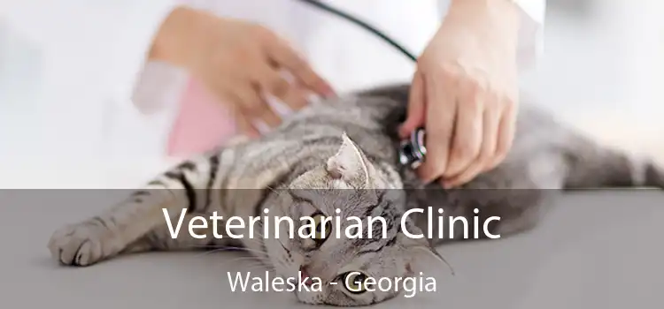 Veterinarian Clinic Waleska - Georgia