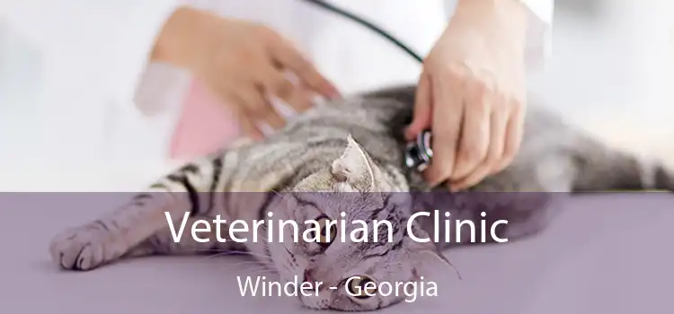 Veterinarian Clinic Winder - Georgia