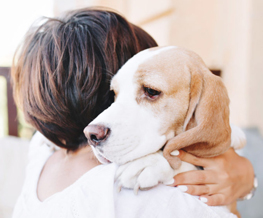 pet euthanasia in Maumelle
